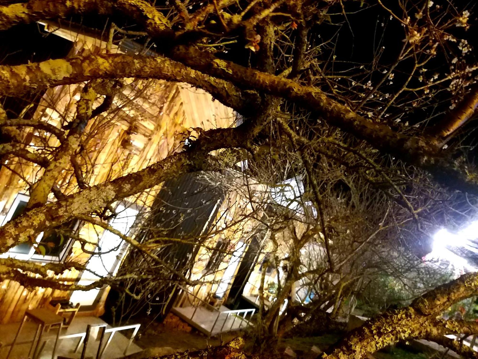 Bed and Breakfast Eco House Моктяу Номер фото